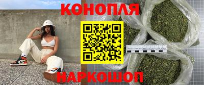 apvp Краснодар