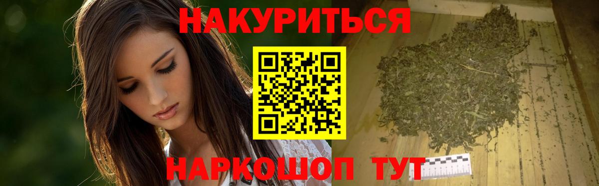 МАРИХУАНА семена Энгельс